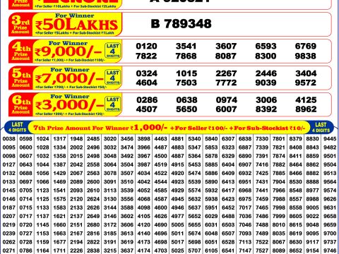 Dear Puja Bumper 2025 Result Today Nagaland State