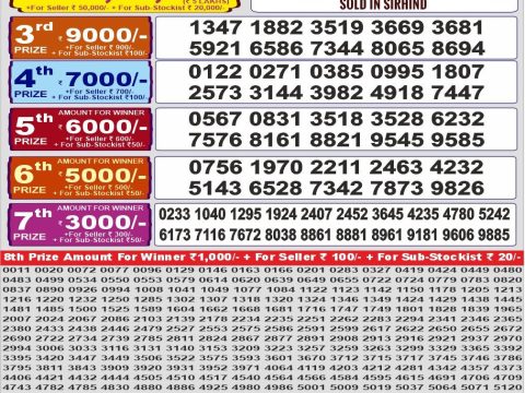 Punjab State 1000 Quarterly Lottery Result 11/04/26