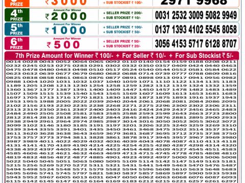 Punjab State Dear 50 Bronco Tuesday Weekly Lottery Result 19/05/26