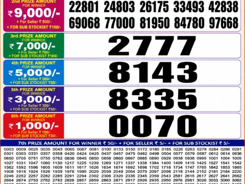 Punjab State Dear 20 Monthly Lottery Result 26/05/26 Live