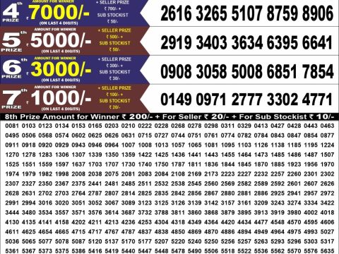 Punjab state dear 100 Monthly Result 09/06/26