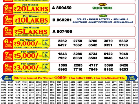 Punjab State Dear Summer Special Bumper Lottery Result