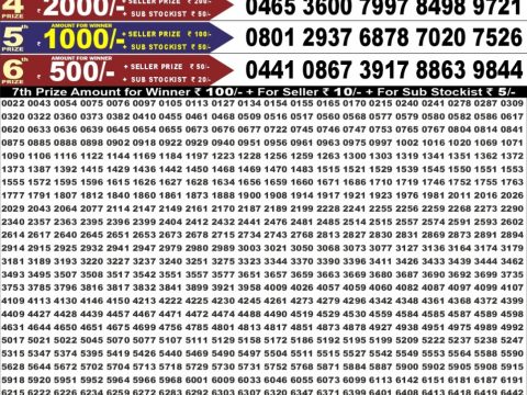 Punjab State Dear 50 Buster Wednesday Weekly Lottery Result 24/06/26