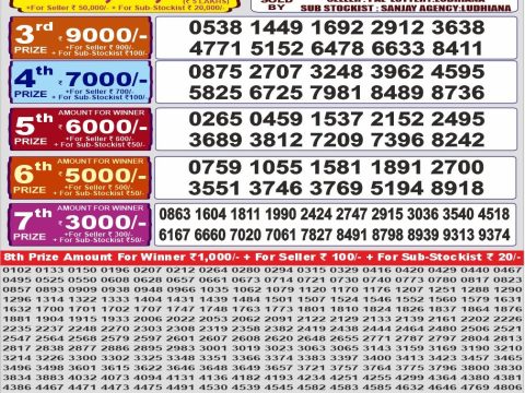 Punjab State Dear 1000 Quarterly Lottery Result 11/07/26
