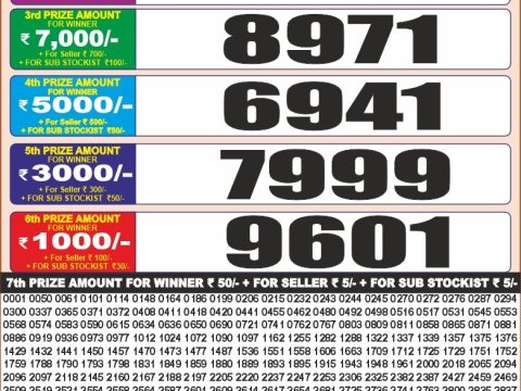 Punjab State 20 Monthly Lottery Result 28/07/26