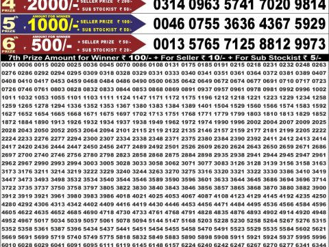 Punjab State Dear 50 Jackal Saturday Weekly Lottery Result 08/08/26