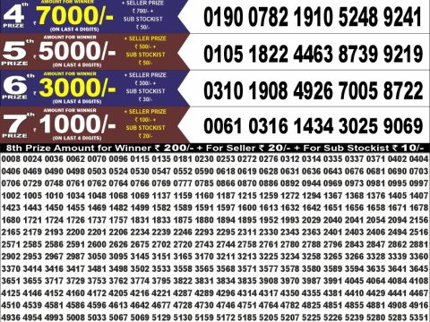 Punjab State dear 100 Monthly Lottery Result 11/08/26
