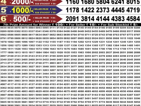 Punjab State Dear 50 Bronco Tuesday Weekly Lottery Result 11/08/26