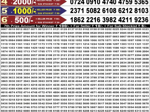 Punjab State Dear 50 Bronco Tuesday Weekly Lottery Result 25/08/26