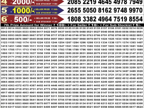 Punjab State Dear 50 Bronco Tuesday Weekly Lottery Result 08/09/26