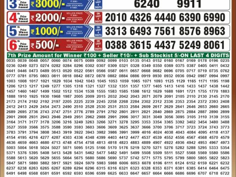 Punjab State Dear 50 Jackal Saturday Weekly Lottery Result 19/09/26