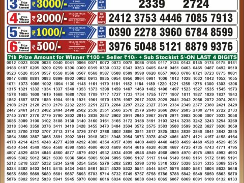 Punjab State Dear 50 Ranger Sunday Weekly Lottery Result 20/09/26