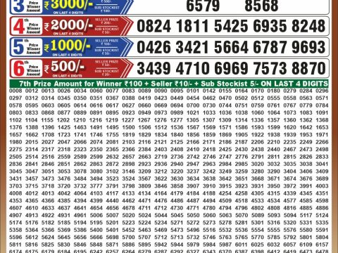 Punjab State Dear 50 Chief Thursday Weekly Lottery Result 01/10/26