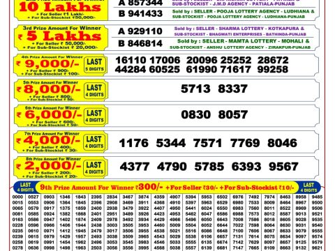Punjab State Dear 200 Monthly Lottery Result Today 6PM
