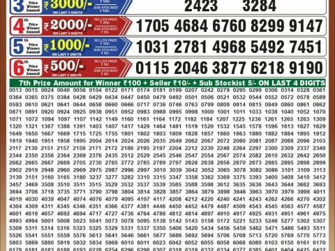 Punjab State Dear 50 Bronco Tuesday Weekly Lottery Result 06/10/26