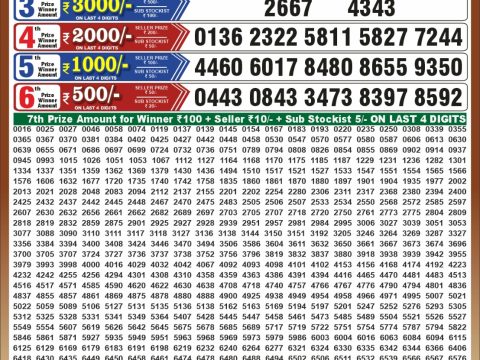 Punjab State Dear 50 Chief Thursday Weekly Lottery Result 08/10/26