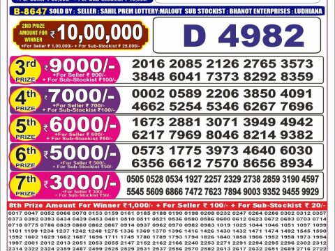 Punjab State 1000 Quarterly Lottery Result 10/10/26
