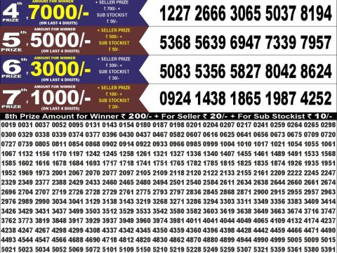 Punjab State Dear 100 Monthly Lottery Result 13/10/26