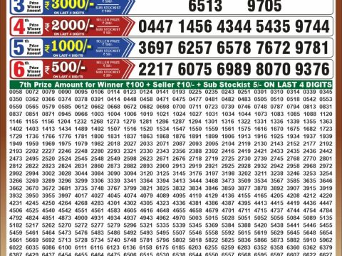 Punjab State Dear 50 Bronco Tuesday Weekly Lottery Result 20/10/26