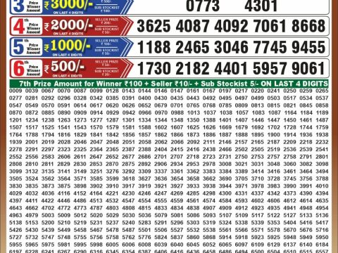 Punjab State Dear 50 Chief Thursday Weekly Lottery Result 29/10/26