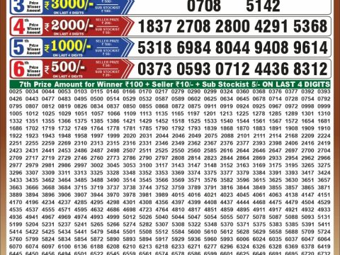 Punjab State Dear 50 Bronco Tuesday Weekly Lottery Result 13/10/26
